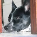 Photo of Roxy