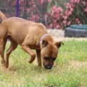 Photo of Holly