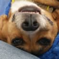 Photo of Molly Jones
