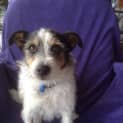 Photo of Lexie