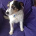 Photo of Lexie