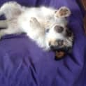 Photo of Lexie