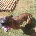 Photo of Sue