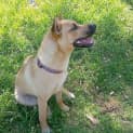 Photo of Barney