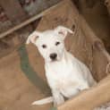 Photo of Shanti
