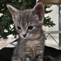 Photo of Milly