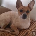 Photo of Miss Tilly