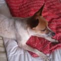 Photo of Miss Tilly