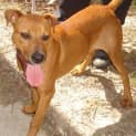 Photo of Marley