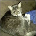Photo of Dusty
