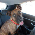 Photo of Sue