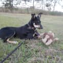 Photo of Tilly