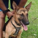 Photo of Princess On Trial In Her New Home