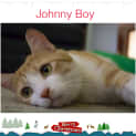 Photo of Johnny Boy