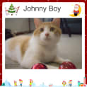Photo of Johnny Boy