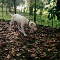 Photo of Holly