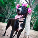 Photo of Princess