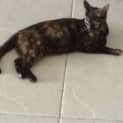 Photo of Macey