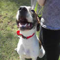 Photo of Django