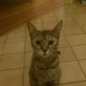 Photo of Rosie