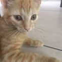 Photo of River ** I'm Just $25! **