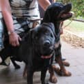 Photo of Ben *On Trial In His New Home*