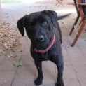 Photo of Ben *On Trial In His New Home*