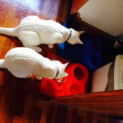 Photo of Snow And Beau