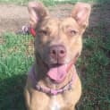Photo of Molly Dl1063