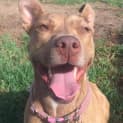 Photo of Molly Dl1063