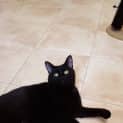 Photo of Missy