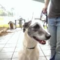 Photo of Havic Id: 30622