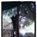 Photo of Marcell @ The Pet House Tuggerah