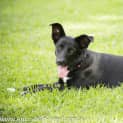 Photo of Daisy