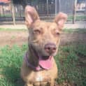 Photo of Molly Dl1063
