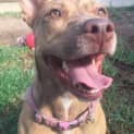 Photo of Molly Dl1063