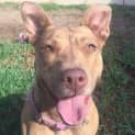 Photo of Molly Dl1063
