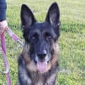Photo of Axle