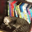Photo of Finnick