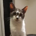 Photo of Rosey