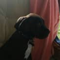 Photo of Leela
