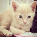 Photo of Zeb