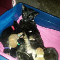 Photo of Narla