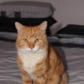 Photo of Timmothy