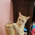 Photo of Keesha