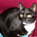 Photo of Kiki