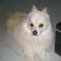 Photo of Peter