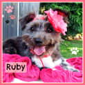 Photo of Ruby