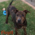 Photo of Floyd