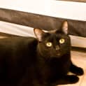 Photo of Missy
